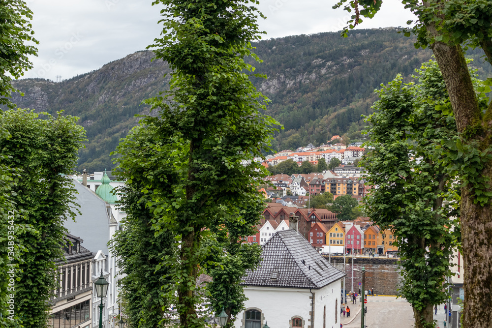 Green trees on traditional scandinavian streets in Bergen, Norway. Nordic city exploration scenery