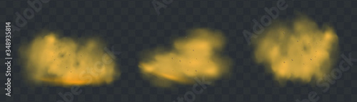 Dust cloud with particles with dirt,cigarette smoke, smog, soil and sand particles. Realistic vector isolated on transparent background. Concept house cleaning, air pollution,big explosion.