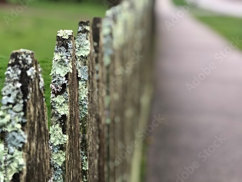 old wooden fence with green moss