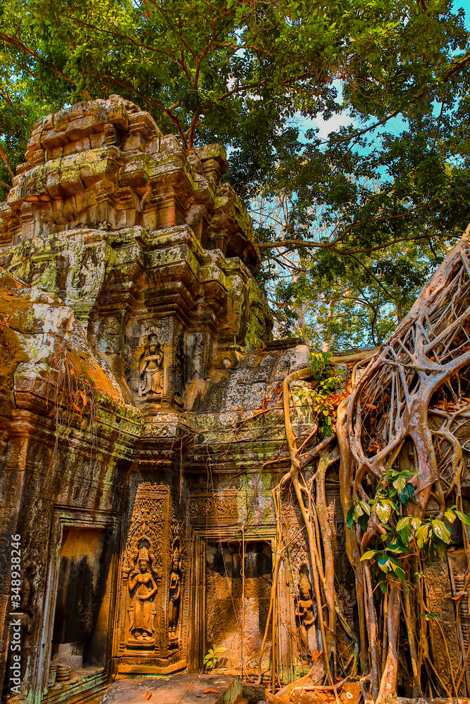 Angkor - Ta Prohm 