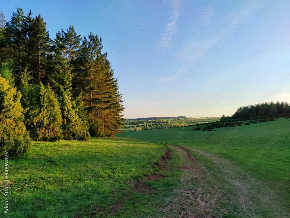 rural road near the forest on a green field against the evening sky rural road near the forest on a green field against the evening sky