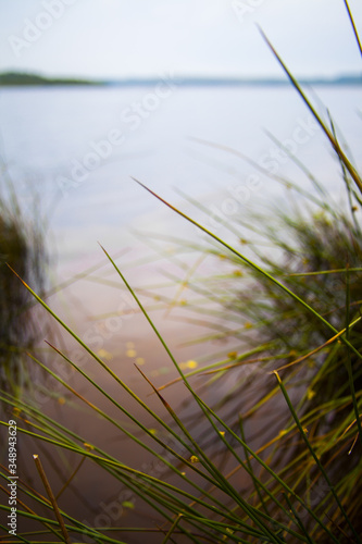 red lake and grass