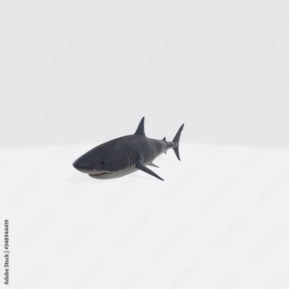 Fototapeta premium 3d illustration of shark. 3d model of fish with open mouth.