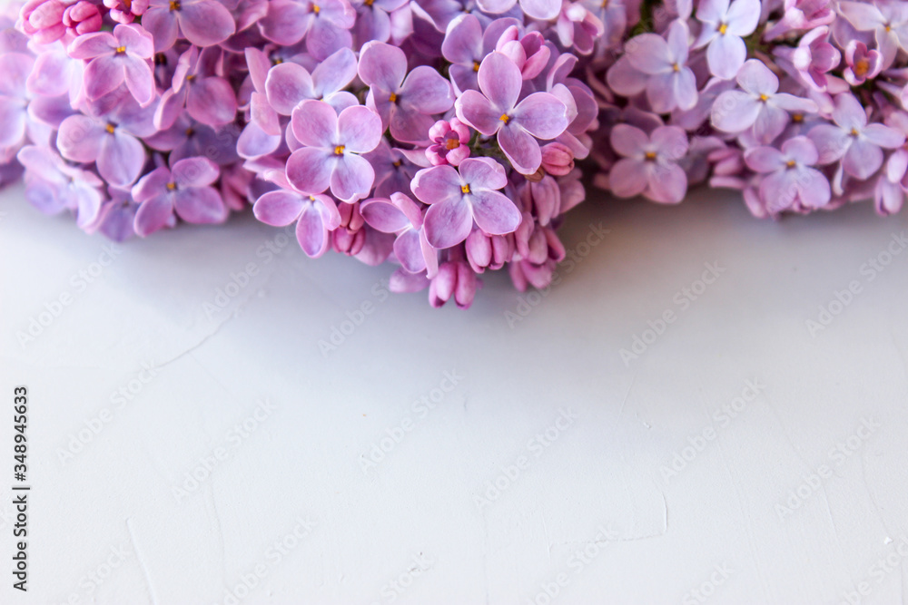 Obraz premium Lilac twigs on the background