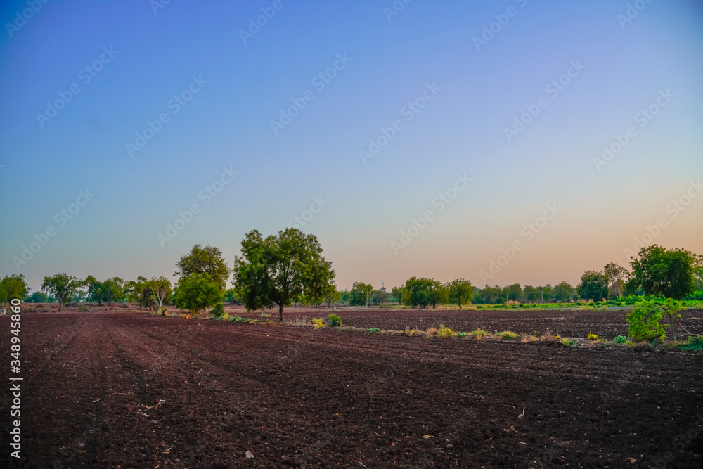 Obraz premium agriculture field ready for new planting season, water drip irrigation