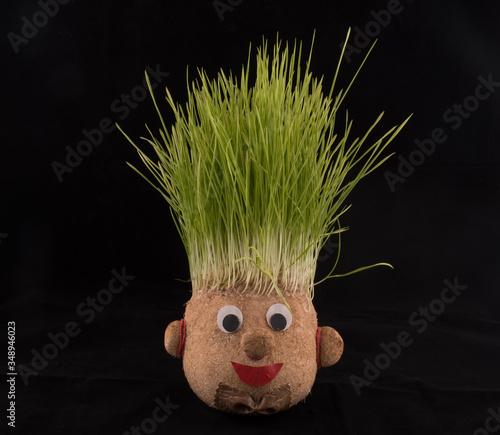 Germinated wheat, a tradition of Saint Andrew’s Day. Handmade doll stuffed with wood shavings photo