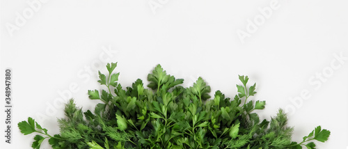 A large bunch of fresh organic green parsley, dill on a white background. Garden greens, spicy herbs, ingredients for cooking. Banner. Close-up, top view, copy space.