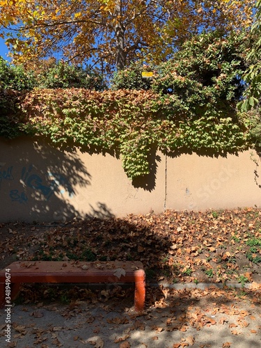 otoño en santiago de chile