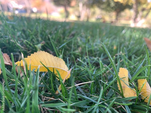 otoño en santiago de chile