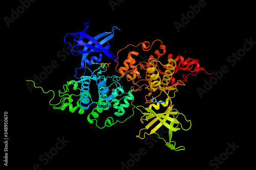 Photography Tau-protein kinase, an enzyme which participates in 14 metabolic pathways, including cell cycle, Alzheimer's disease and prostate cancer