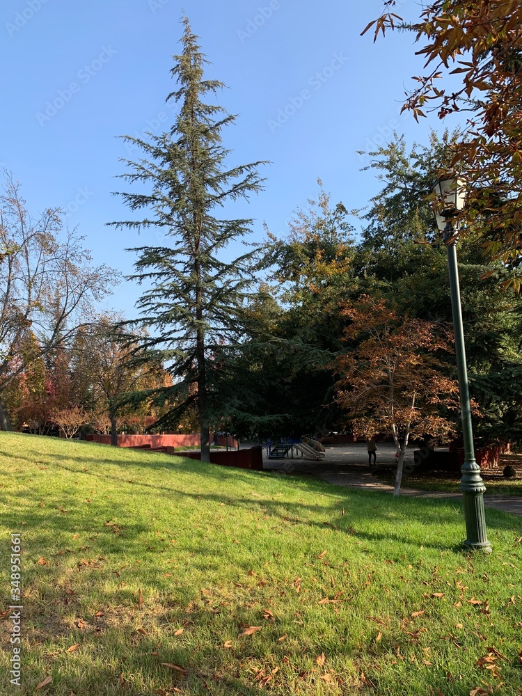 Obraz premium otoño en santiago de chile