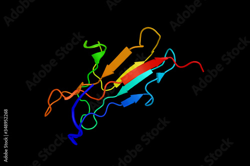 RAGE, the receptor for advanced glycation endproducts, a transmembrane receptor of the immunoglobulin super family. 3d rendering photo