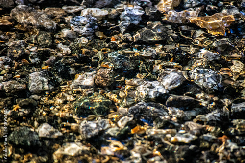 Stones at the bottom of a spring melting stream