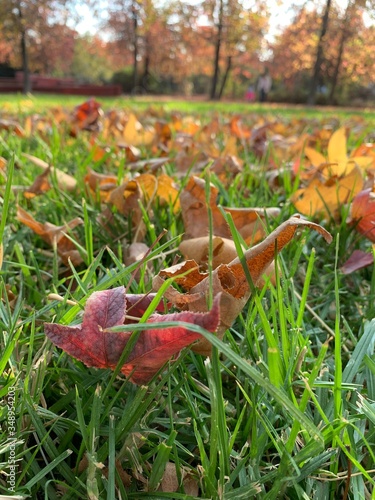 otoño en santiago de chile