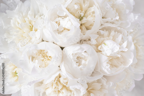 Fototapeta Naklejka Na Ścianę i Meble -  White peony bouquet 