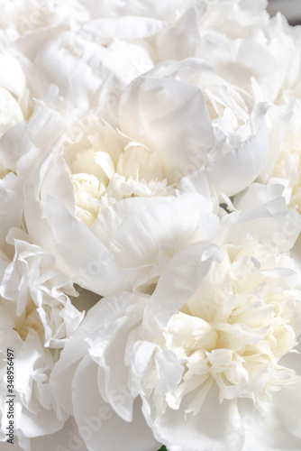 White peony bouquet  © Kristina Nekrich 
