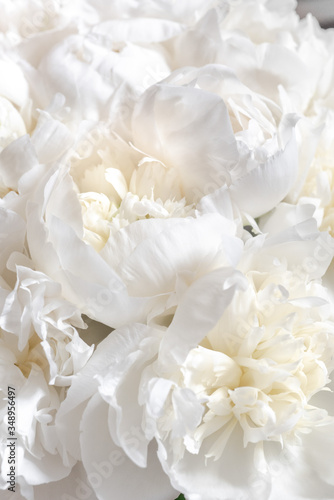 Fototapeta Naklejka Na Ścianę i Meble -  White peony bouquet 