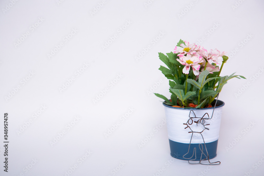 Fototapeta premium 花 鉢 猫 白 ピンク 緑