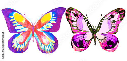 butterfly607