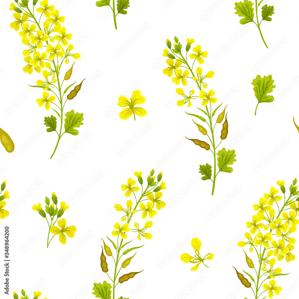 Seamless background of flower and leaves mustard. Vector illustration.