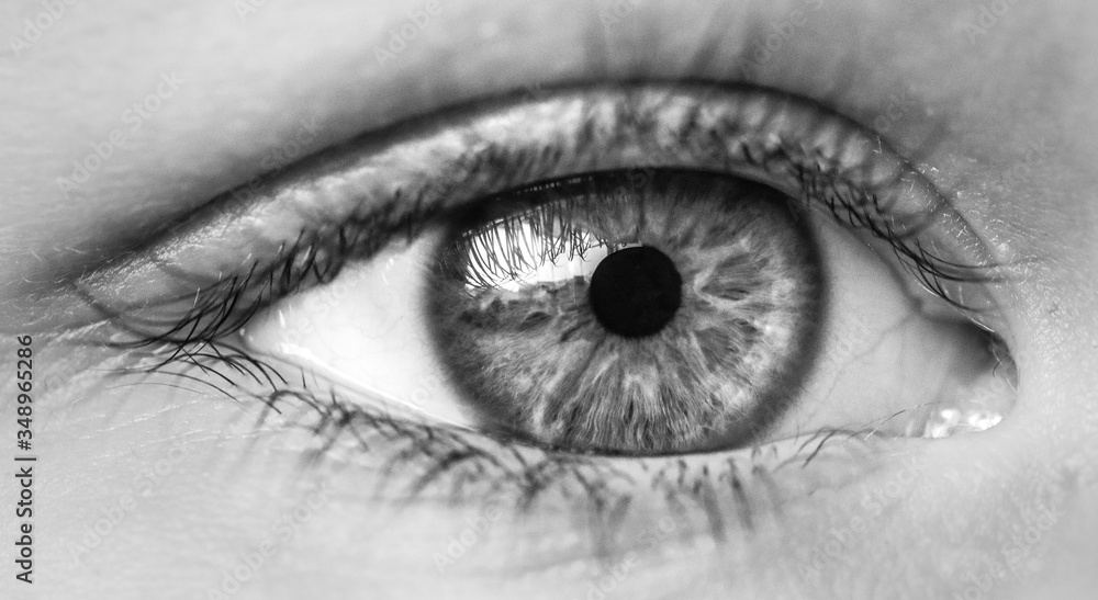 Obraz premium Close-up view of a human eye in black and white