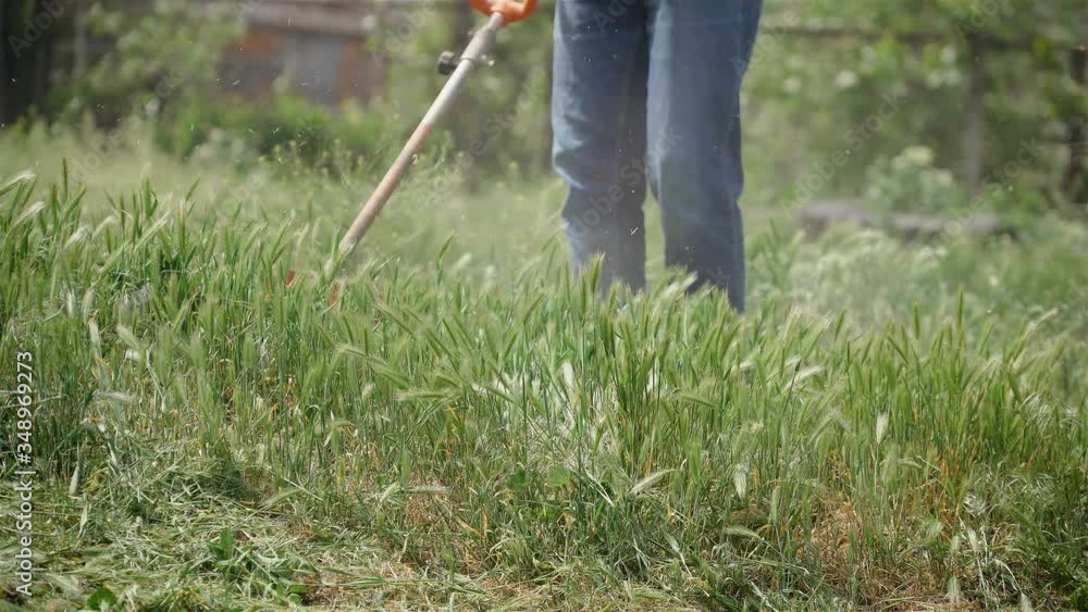 Green grass in garden and man with manual lawn mower electric trimmer approaching in background. Care of yard and household Green grass in garden and man with manual lawn mower electric trimmer approaching in background. Care of yard and household