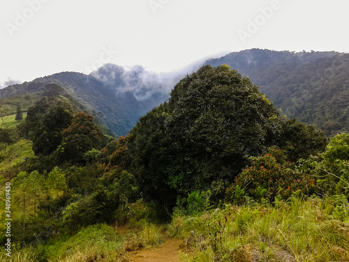 mountain hill with a myriad of beauty photo