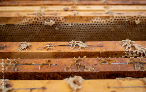 Canvas Print closeup beehive with beeswax