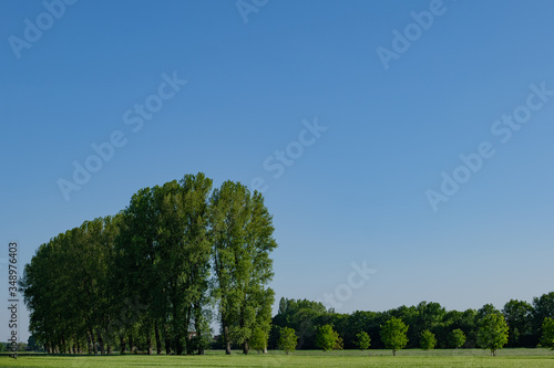 Landscape sunny scenery of agricultural field and meadow against deep blue sky in countryside area in Germany.
