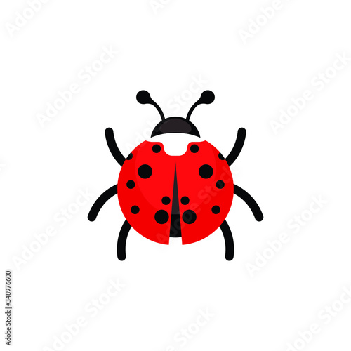 Ladybug or ladybird vector graphic illustration, isolated. Cute simple flat design of black and red lady beetle. vector illustration © ferid