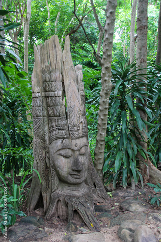 Embossed Buddhist figure made from the trunk of a tree in the Phi Phi Islands