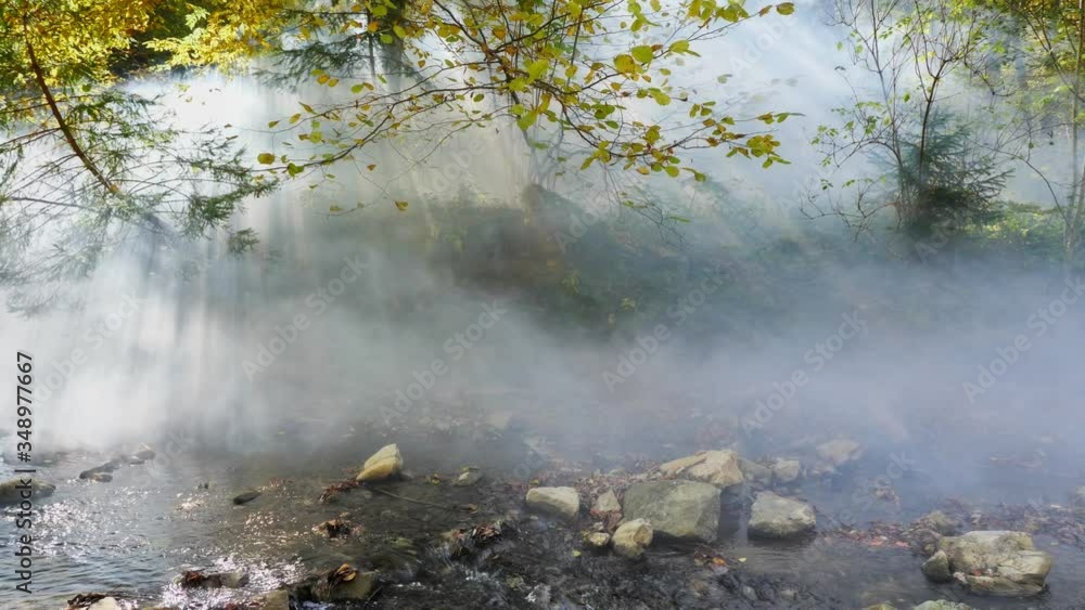 The thick fog in the autumn forest. The sun's rays cut through the fog. The leaves changing color in the peaceful forest. Autumn landscape. Fallen leaves lying on the ground. The thick fog in the autumn forest. The sun's rays cut through the fog. The leaves changing color in the peaceful forest. Autumn landscape. Fallen leaves lying on the ground.