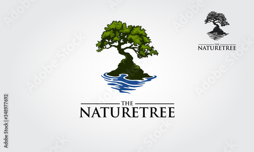The Nature Tree  Vector Logo. Eco green logo template. This is symbol of strength, power, longevity, freedom, fertility, hope and continuity.
