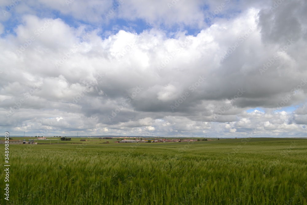 Obraz premium Campos