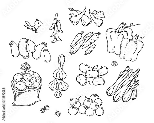Set of colorful cartoon fruits and vegetables, outline vector