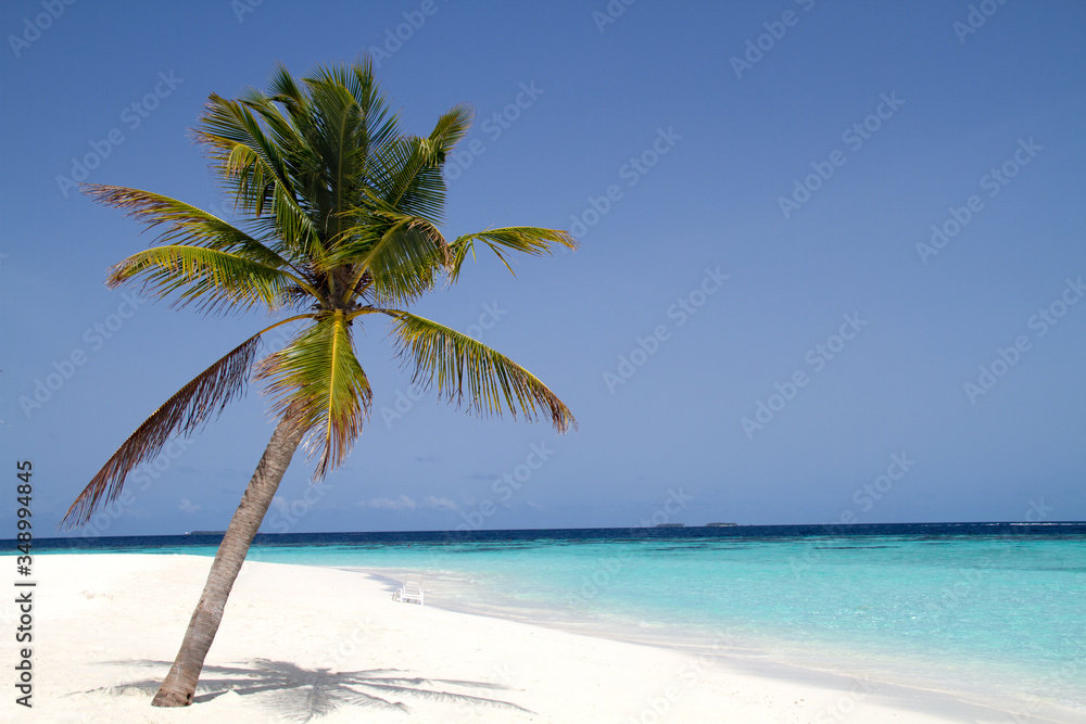 A sunny day on a paradise beach with a lonely palm tree 