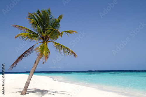 Fototapeta Naklejka Na Ścianę i Meble -  A sunny day on a paradise beach with a lonely palm tree 