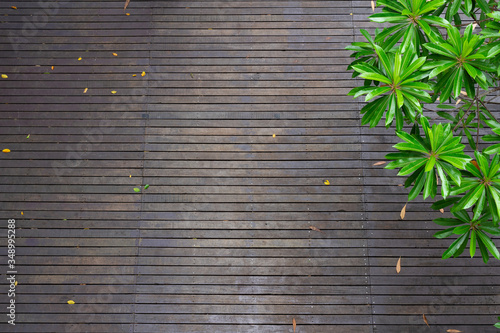 Brown planks floor background with copy space and tree branches full of green leaves at the right side of photo.