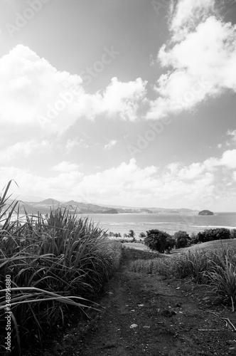 Photos Atlantic Ocean Coast Landscape