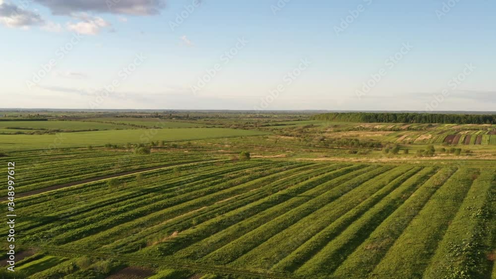 Aerial drone view of abandoned and cultivated agricultural lands of peasants. Life in the village, Ukraine. Cinematic 4k, no post-processing Aerial drone view of abandoned and cultivated agricultural lands of peasants. Life in the village, Ukraine. Cinematic 4k, no post-processing