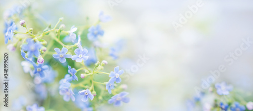 beautiful blue spring banner with flowers © Марина Шавловская