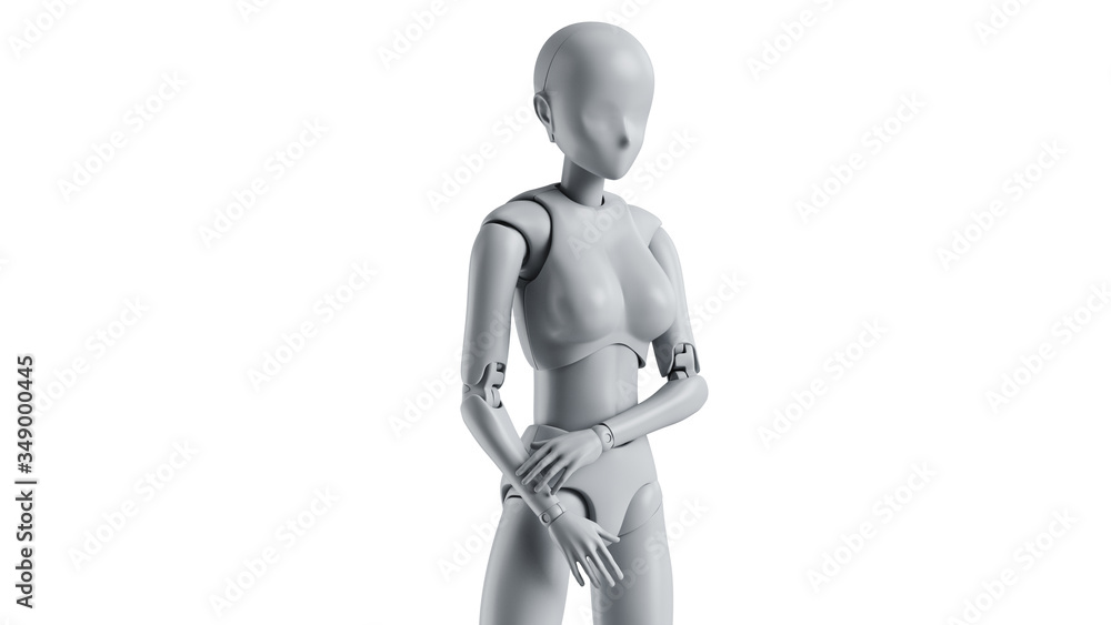 Mannequin female model woman isolated. 3D rendering Mannequin female model woman isolated. 3D rendering