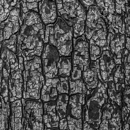 Ashes soot texture of burnt tree. Black wood charcoal background