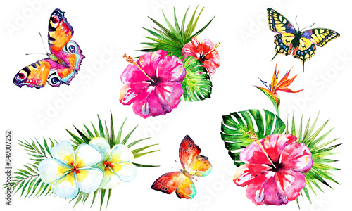 Hawaiian flowers, butterflies, watercolor, exotic plants, isolated on a white