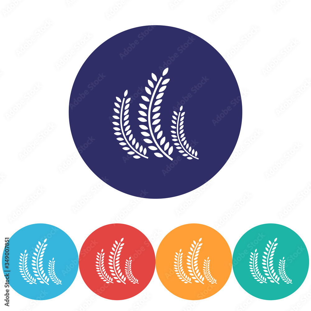 Settings vector icon , lorem ipsum Flat design Settings vector icon , lorem ipsum Flat design