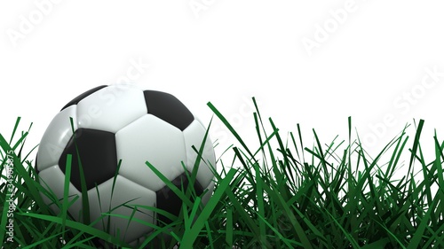 Soccer ball in the grass. Isolated on white. 3D-rendering.