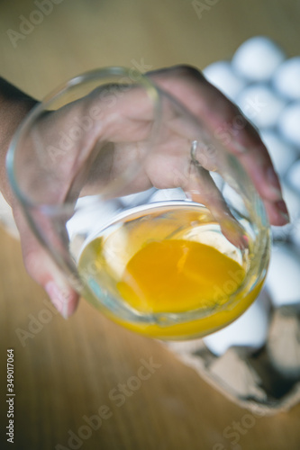 Fotos de huevos organicos 