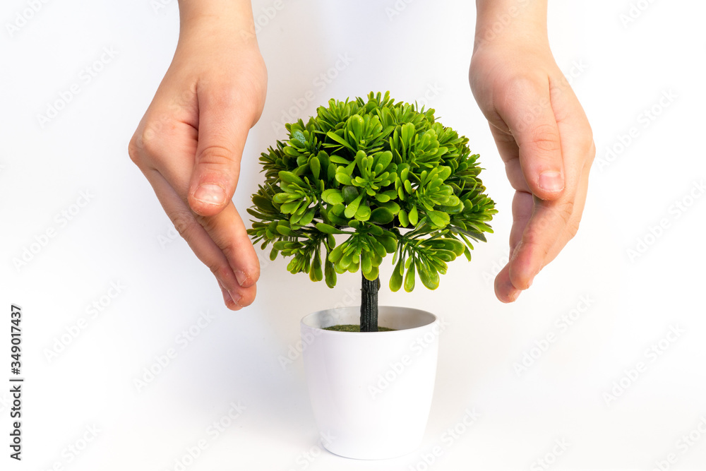 Save the planet. Small plant cupped in child's hands. Ecology concept