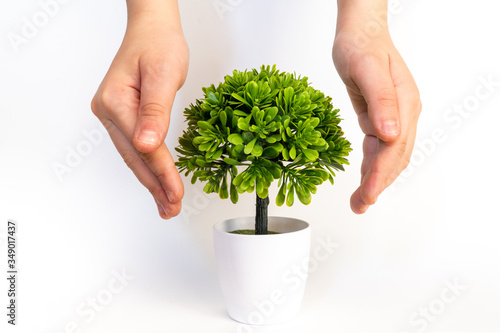 Obraz na płótnie Save the planet. Small plant cupped in child's hands. Ecology concept w salonie