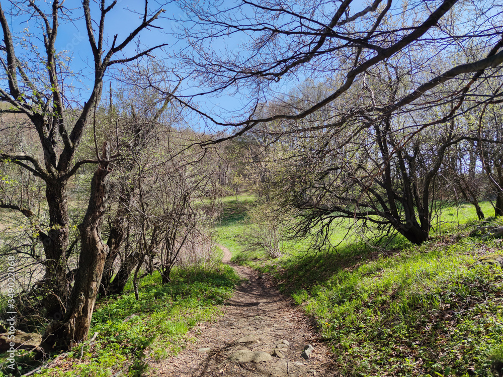 Spring view of Vitosha Mountain,  Bulgaria